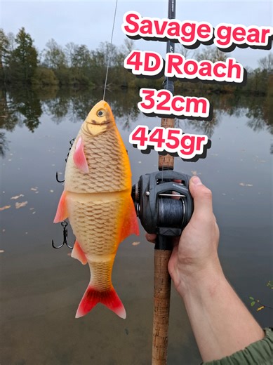 Savage Gear 4d roach 32cm 445grammes 🔥🐊 #pourtoi#fishing#bigbait#pike#savagegear