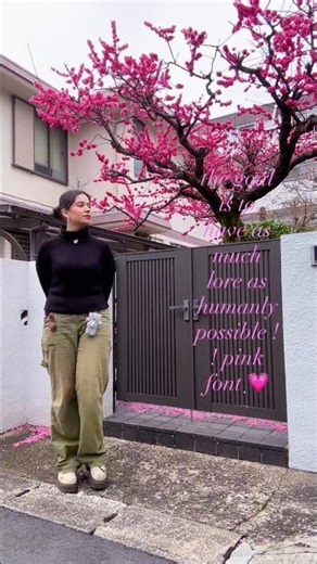 the more lore the better ⭐️ #japan #explore #fypシ #relatable #goals #japanese #livingabroad #women