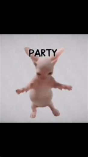 Bingus B. on Instagram: "🪩 edit by the esteemed @elgatitolover"