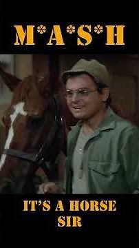 MASH 4077 It's a horse sir