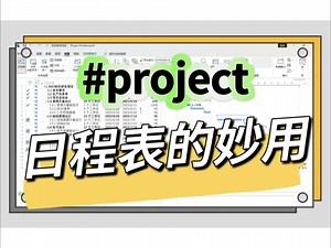 17：Project日程表的妙用