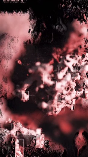 Drum & Lace | Delighted to share the visuals for ‘Lichen’ by @vincentrang 🦠🌱 Visual components are an integral part of all my releases, as they allow... | Instagram