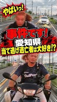 【逃走車を追え🚨】当て逃げの瞬間をドラレコが完全記録 #ドラレコ #当て逃げ #逃亡 #交通事故 #事故映像