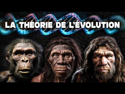 La théorie de l'évolution de Charles Darwin, expliquée simplement