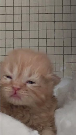 new born baby 😀🍼😀🍼