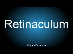 How to correctly pronounce - Retinaculum.