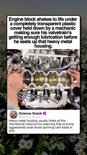 MECHANIC WATCHES LIVE OIL FLOW