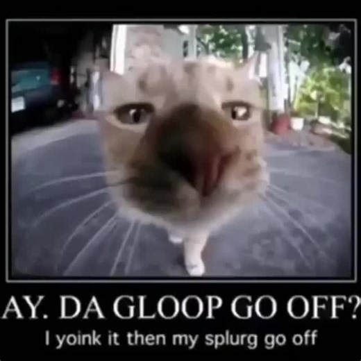 #ay #da #gloop #go #off