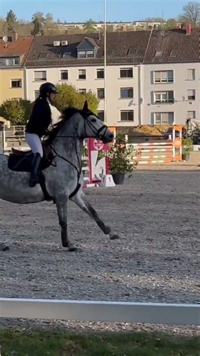 Clairy ✨ Erfolgreich von A bis M-Springen