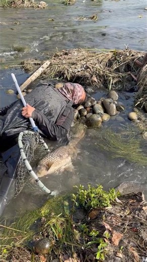 Catching fish in the morning! #fishing #fypyoutube #fyp