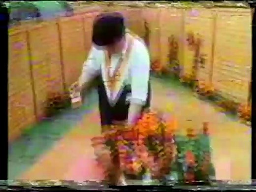 Scottish Humour - Mason Boyne