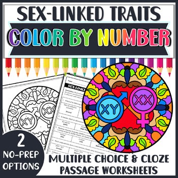 Sex-linked Traits Punnett Squares Practice Color by Number | Worksheet Activity