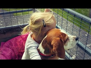 Why Do Dogs Love Kids So Much? (Watch This & Melt)