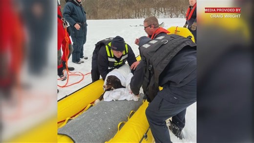 Dog reunited with owners after being found struggling in icy pond in Greater Cincinnati