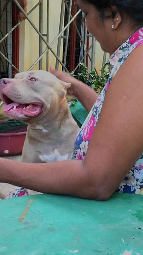 Unleashed Muscular Bully Camp on TikTok