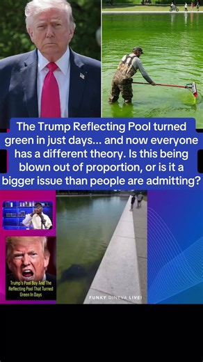 The Trump Reflecting Pool turned green in just days... and now everyone has a different theory. Is this being blown out of proportion, or is it a bigger issue than people are admitting? The debate online is getting intense. Trump Reflecting Pool, reflecting pool turns green, Trump news, viral discussion, political controversy, water quality concerns, national landmarks, Washington DC news, social media debate, trending news, environmental concerns, public reaction, breaking political news, viral