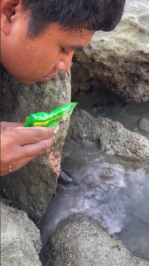 Feeding a Hidden Eel in a Rocky Tide Pool