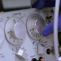 Dosage-Adjusted Resistance Training in Mice - JoVE Journal