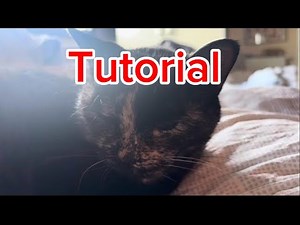 How to create a Micronation (Tutorial)