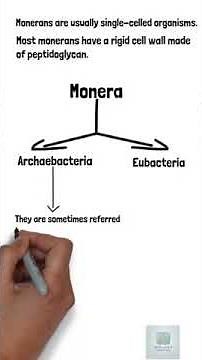 Kingdom Monera, Classification, and Examples | Class 11th Biology