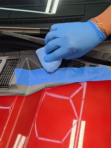 Trim Coat: Long-Lasting Plastic Trim Restorer