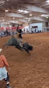 272K views · 6.4K reactions | Knockin’ em down one practice bull at a time  | PBR | Facebook