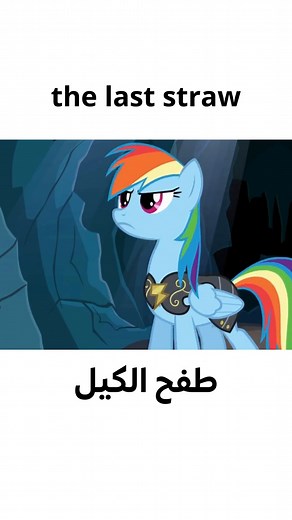 4.8K views · 96 reactions | Portals on Reels | Facebook