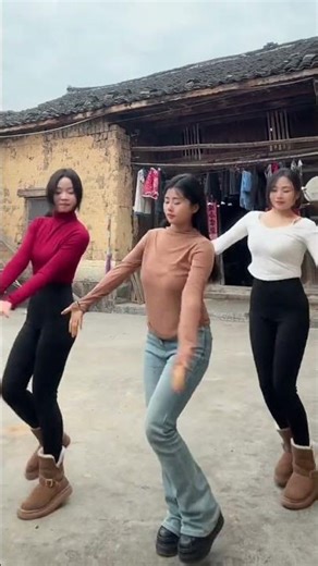 Record of Rural Life: A Glimpse into Chinese Countryside