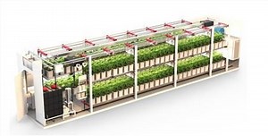 China Aerogarden Mini Greenhouse 40ft Container Manufacturers - Custom Service - GROWSPEC