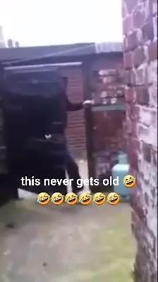 in the entree!!! #foryou #foryou #foryoupage #fyp #omg #tiktok #funny #fail #dumb