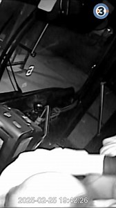 108K views · 1.1K reactions | New video, obtained Thursday by Channel3000.com, shows the moment a woman attacked a Madison Metro bus driver, leading to the bus crashing into a local restaurant. | News 3 Now / Channel 3000 | Facebook