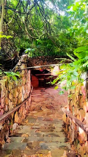 312 reactions · 69 shares | ...