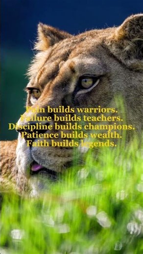 “This Mindset Creates Champions 🧠🔥”