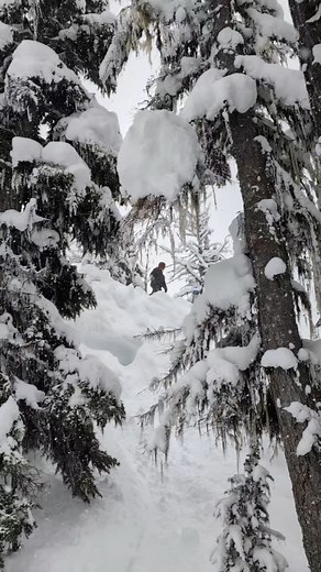 Nice drop on blackomb | Cody Richard