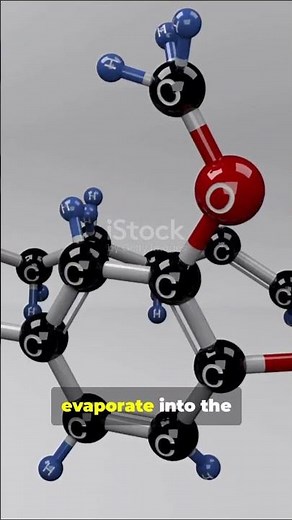 Why Wasabi Burns Your Nose 👃🔥 (Not Your Tongue!)