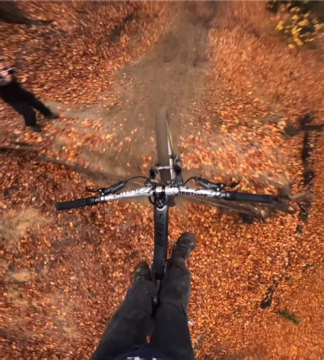 Old GoPro Clip Highlights