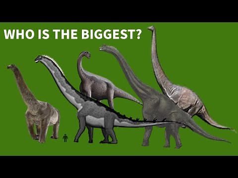 The Biggest Dinosaurs Of All Time | Biggest Dinosaurs In The World