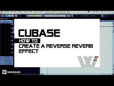Cubase: How To Create a Reverse Reverb Effect | WinkSound