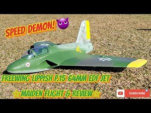 Freewing Lippish P.15 64mm EDF Jet Maiden Flight & Review