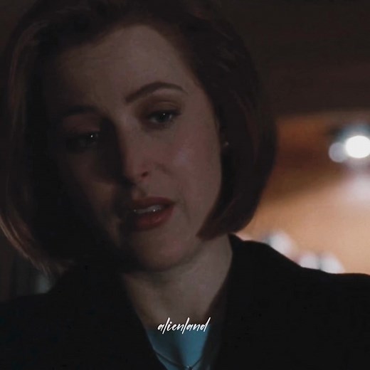 ✨ DANA SCULLY ✨ #mulderandscully #danascully #foxmulder #thexfiles #msr #90s #90sseries #series