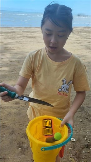 Katness Loves to See New Scope for Finding Shells on the Beach!!!