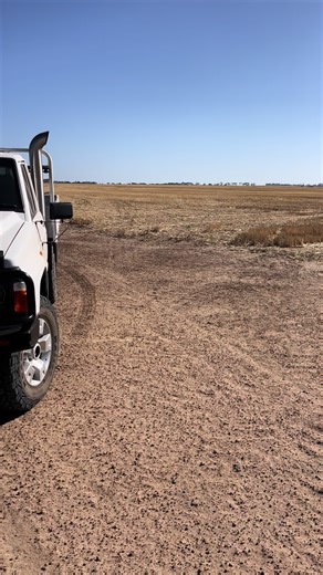 Understanding Earth Pollution: The Impact of Dust and Diesel