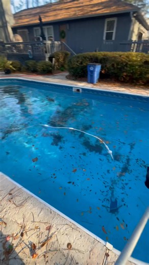 When is fall the leaves fall and I mean, straighten the pool #pool #fallvibes | Inglett’s pool maintenance LLC | Facebook
