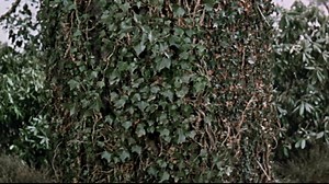 Watch 'What are we going to do? We must do something. We can't leave here without our clothes....' | A Shot in the Dark Clip