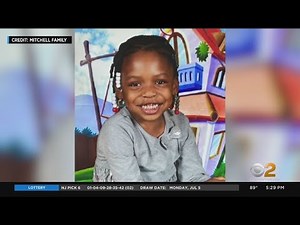 9-Year-Old Girl Dies After Being Pulled From Staten Island Reservoir