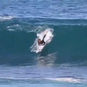 46K views · 242 reactions | Hang 10 Flipper!!  Repost from IG: @sharkbytesapp Video by: @mitch_imgraben FB: SharkBytesapp | Sharks 360 | Facebook