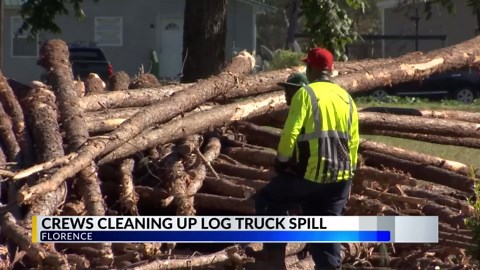 Photos: Log truck spills on Florence-area road
