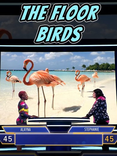 Bird Watching: A Collection of Various Bird Species Found On The Floor