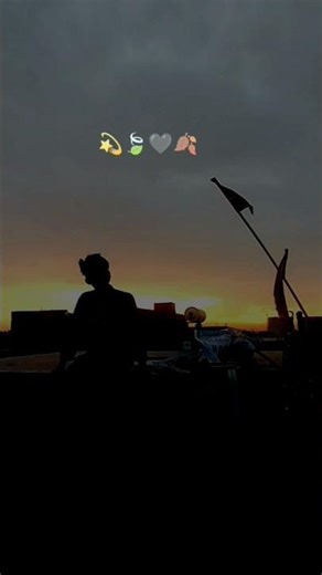 ek Shayar Hai mujhe unka Naam yad nahin a Raha kahate Hain ki 🥺👸#sad #trenbing #viral