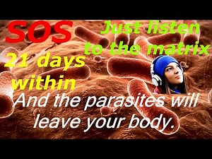 Matrix garyaev / expulsion of parasites / parasite / Peter Garyaev / candida / quantum healing / DNA